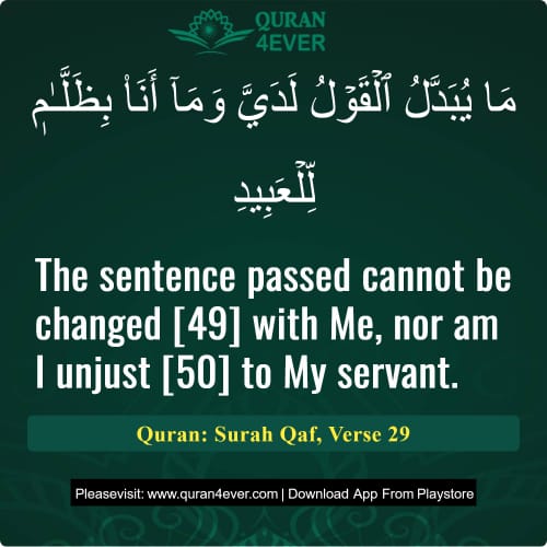 Quran Surah 50 Verse 29