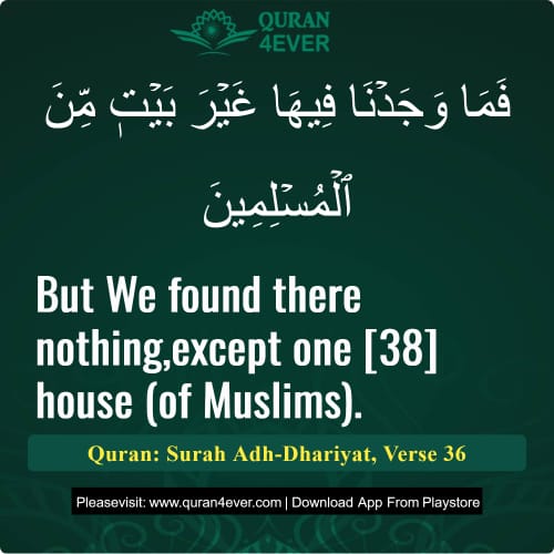 Quran Surah 51 Verse 36