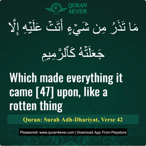 Quran Surah 51 Verse 42