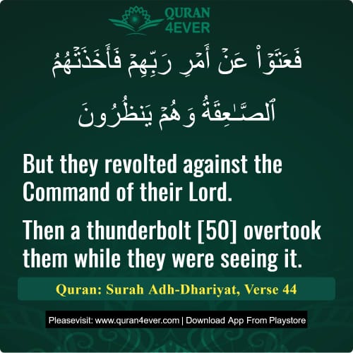 Quran Surah 51 Verse 44
