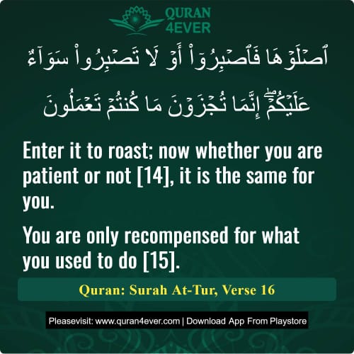 Quran Surah 52 Verse 16
