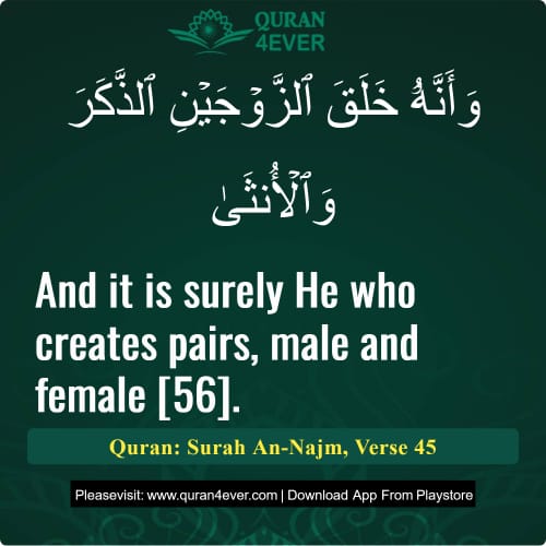 Quran Surah 53 Verse 45