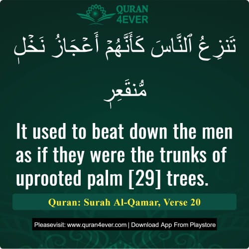 Quran Surah 54 Verse 20 Quran Surah 54 Verse 20