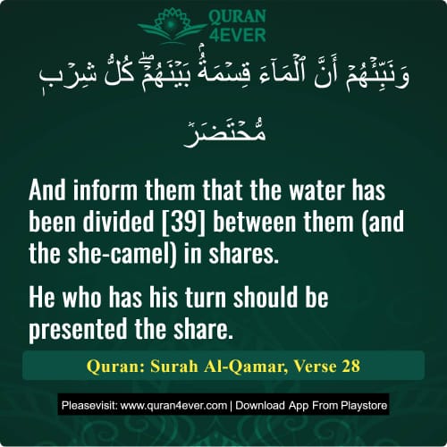 Quran Surah 54 Verse 28