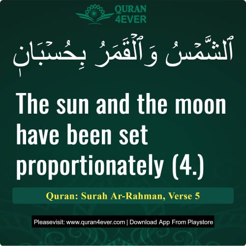 Quran Surah 55 Verse 5