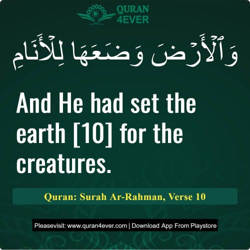 Quran Surah 55 Verse 10