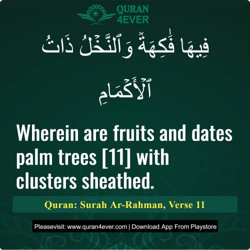 Quran Surah 55 Verse 11