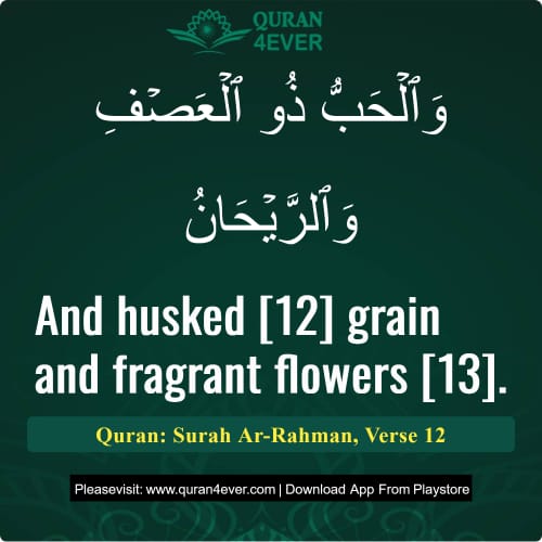 Quran Surah 55 Verse 12