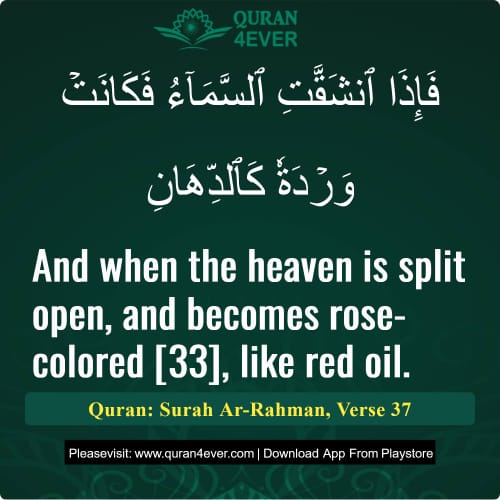 Quran Surah 55 Verse 37