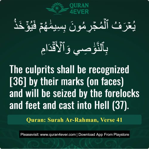 Quran Surah 55 Verse 41