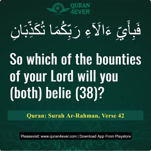 Quran Surah 55 Verse 42