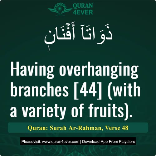 Quran Surah 55 Verse 48