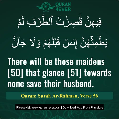 Quran Surah 55 Verse 56