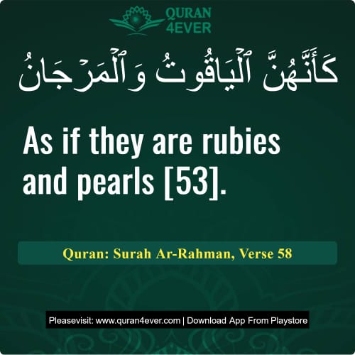 Quran Surah 55 Verse 58