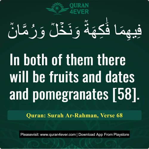 Quran Surah 55 Verse 68