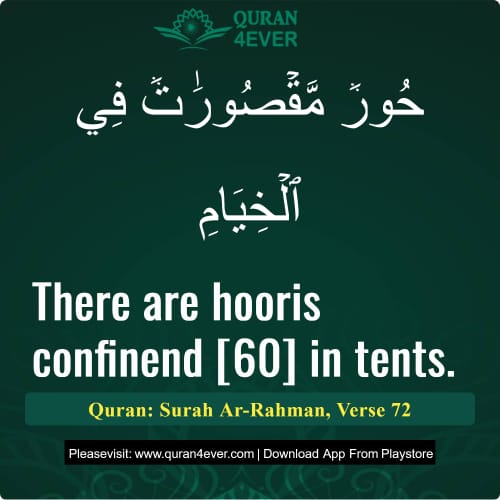Quran Surah 55 Verse 72