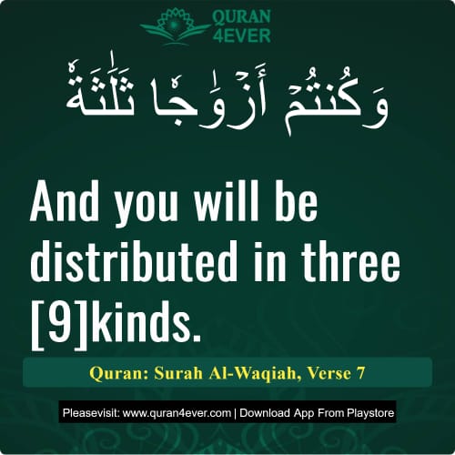 Quran Surah 56 Verse 7