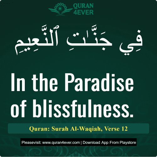 Quran Surah 56 Verse 12