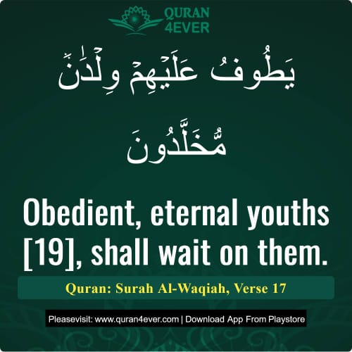 Quran Surah 56 Verse 17