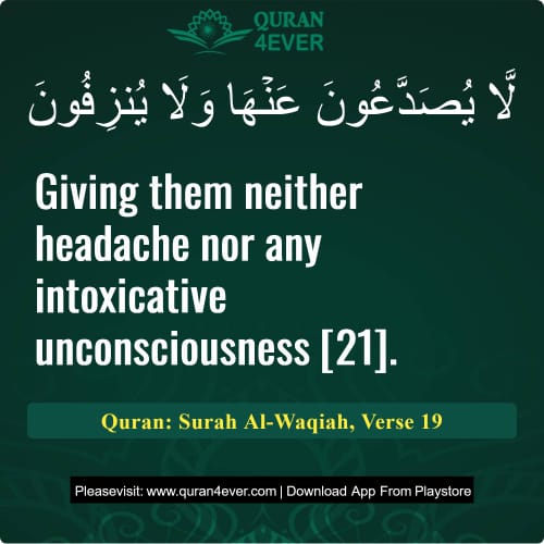 Quran Surah 56 Verse 19