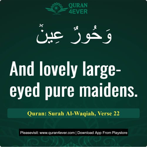 Quran Surah 56 Verse 22