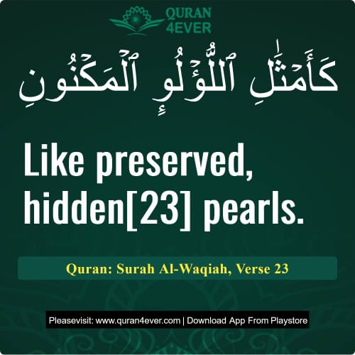 Quran Surah 56 Verse 23