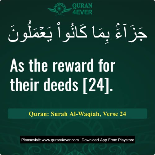 Quran Surah 56 Verse 24