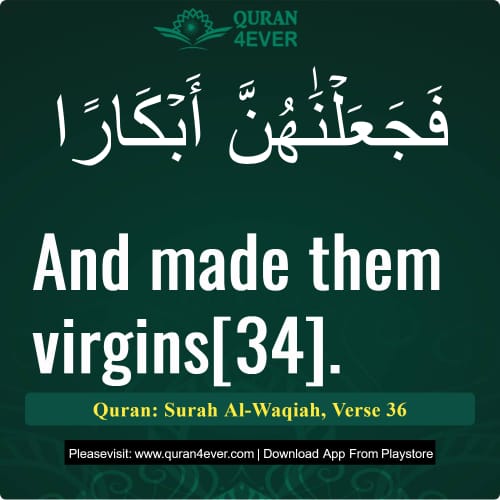 Quran Surah 56 Verse 36
