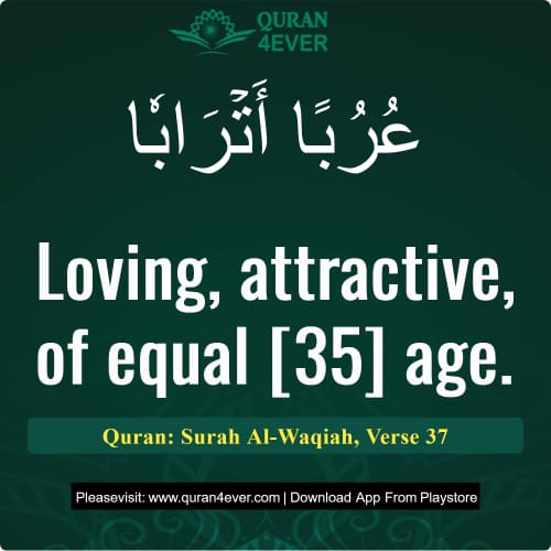 Quran Surah 56 Verse 37