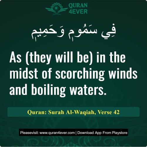 Quran Surah 56 Verse 42