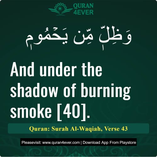Quran Surah 56 Verse 43