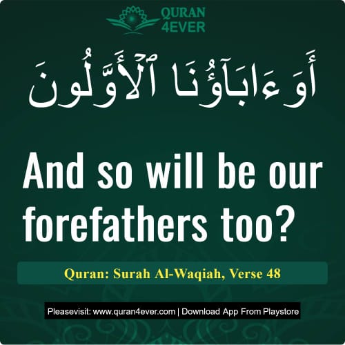 Quran Surah 56 Verse 48