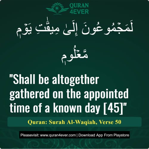 Quran Surah 56 Verse 50