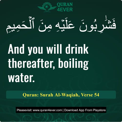 Quran Surah 56 Verse 54