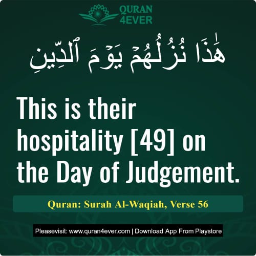 Quran Surah 56 Verse 56