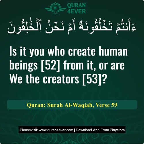 Quran Surah 56 Verse 59