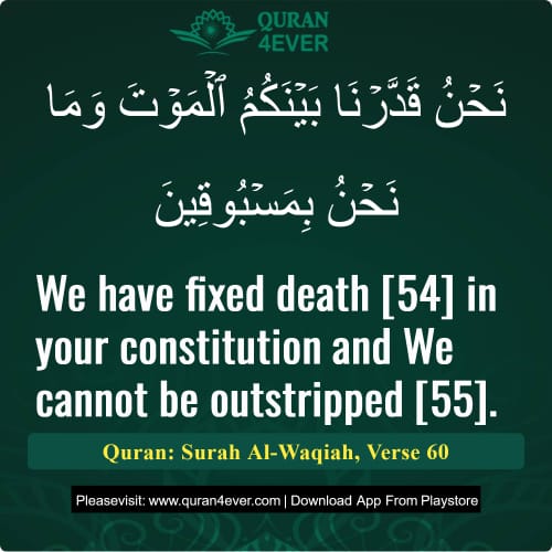 Quran Surah 56 Verse 60