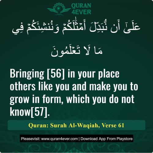 Quran Surah 56 Verse 61