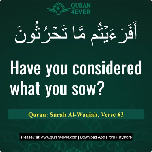 Quran Surah 56 Verse 63