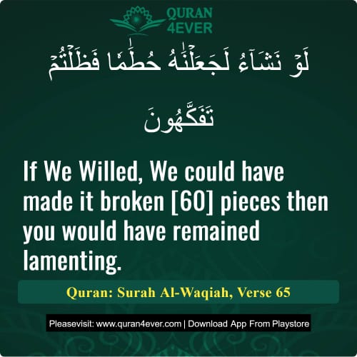 Quran Surah 56 Verse 65