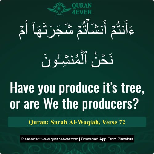 Quran Surah 56 Verse 72