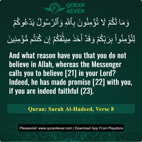 Quran Surah 57 Verse 8