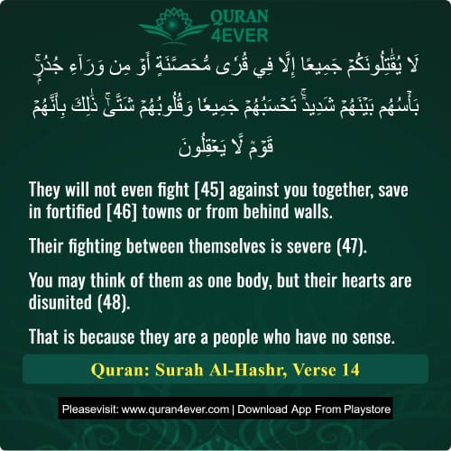 Quran Surah 59 Verse 14