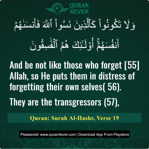 Quran Surah 59 Verse 19
