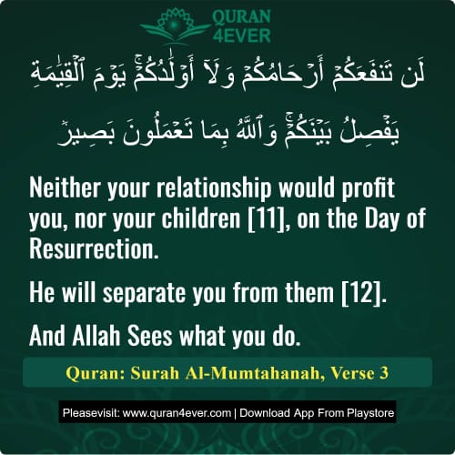 Quran Surah 60 Verse 3