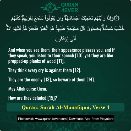 Quran Surah 63 Verse 4
