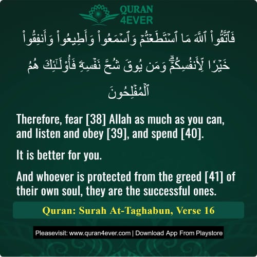 Quran Surah 64 Verse 16