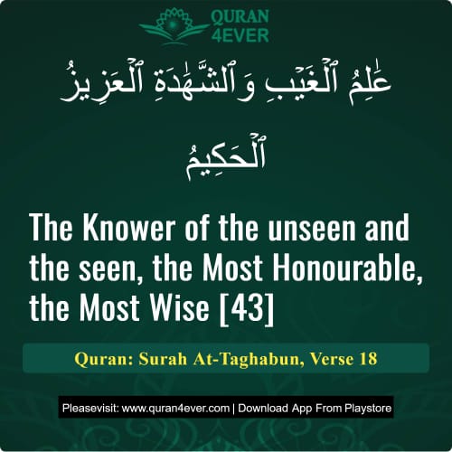 Quran Surah 64 Verse 18