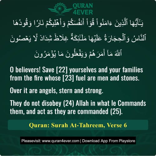 Quran Surah 66 Verse 6