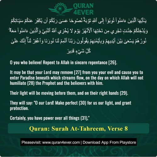 Quran Surah 66 Verse 8